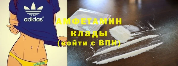амф Пестово