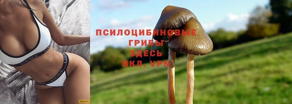 МДПВ Покров