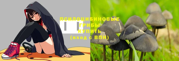 прущая мука Вуктыл